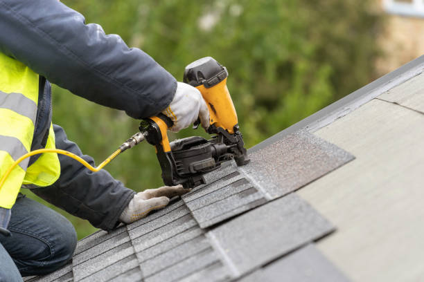 Best Skylight Installation and Repair  in George Mason, VA