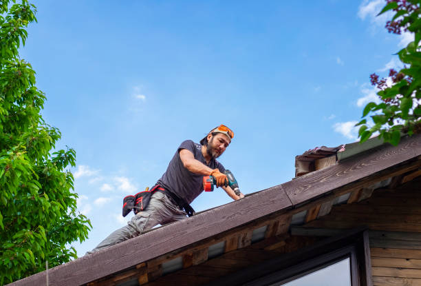 Best Asphalt Shingle Roofing  in George Mason, VA
