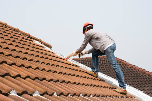 Best Green or Eco-Friendly Roofing Solutions  in George Mason, VA