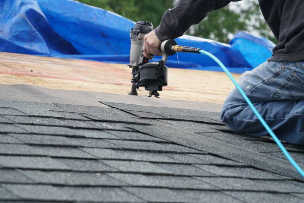Best Roof Moss and Algae Removal  in George Mason, VA